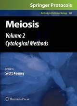 Meiosis - 