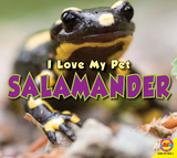Salamander -  Aaron Carr