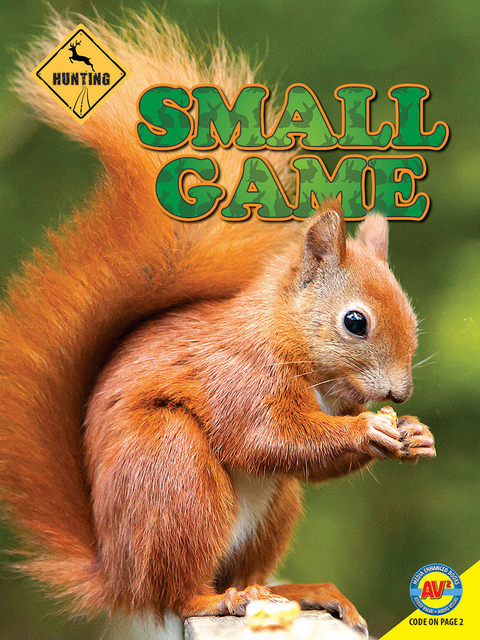 Small Game -  Janet Gurtler