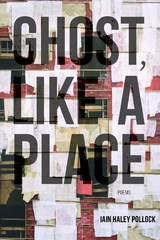 Ghost, like a Place -  Iain Haley Pollock