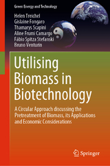 Utilising Biomass in Biotechnology - Helen Treichel, Gislaine Fongaro, Thamarys Scapini, Aline Frumi Camargo, Fábio Spitza Stefanski, Bruno Venturin