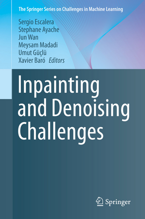 Inpainting and Denoising Challenges - 