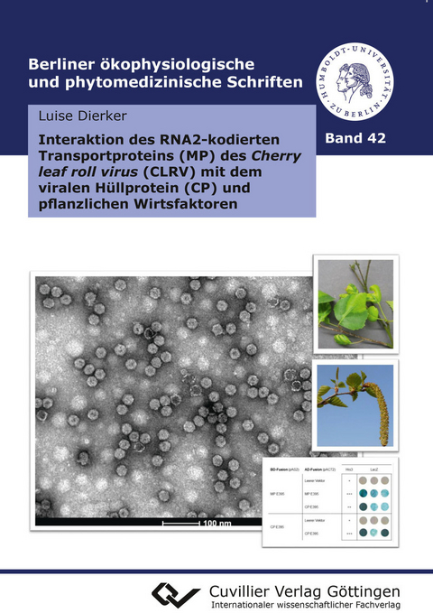Interaktion des RNA2-kodierten Transportproteins (MP) des Cherry leaf roll virus (CLRV) mit dem viralen H&#xFC;llprotein (CP) und pflanzlichen Wirtsfaktoren -  Luise Dierker