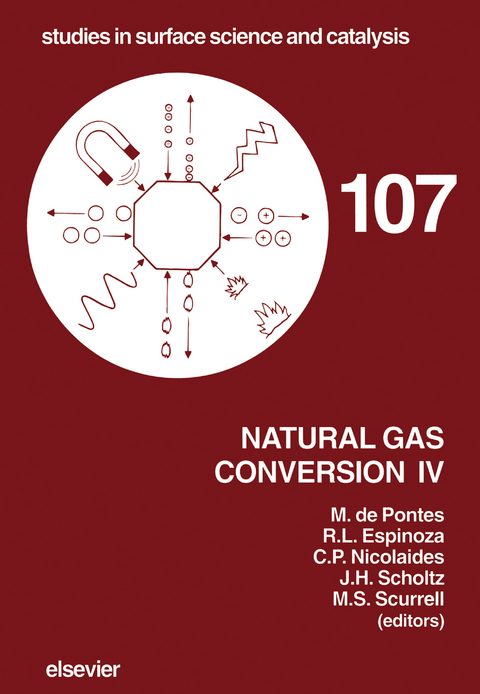 Natural Gas Conversion IV - 