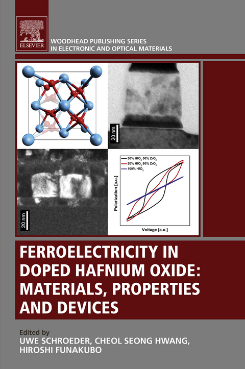 Ferroelectricity in Doped Hafnium Oxide - 