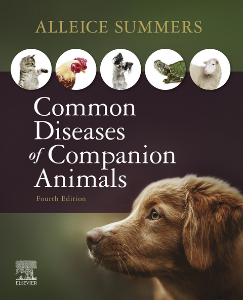 Common Diseases of Companion Animals E-Book -  Alleice Summers