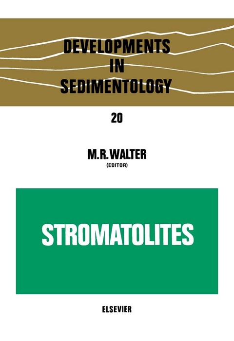 Stromatolites - 