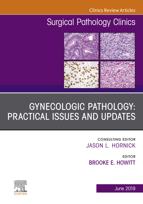 Gynecologic Pathology: Practical Issues and Updates, An Issue of Surgical Pathology Clinics -  Brooke E. Howitt