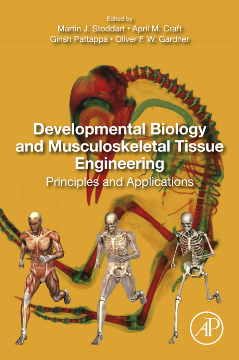 Developmental Biology and Musculoskeletal Tissue Engineering - 