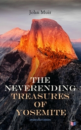 The Neverending Treasures of Yosemite (Illustrated Edition) - John Muir