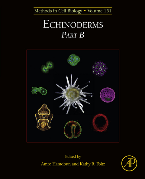 Echinoderms Part B - 