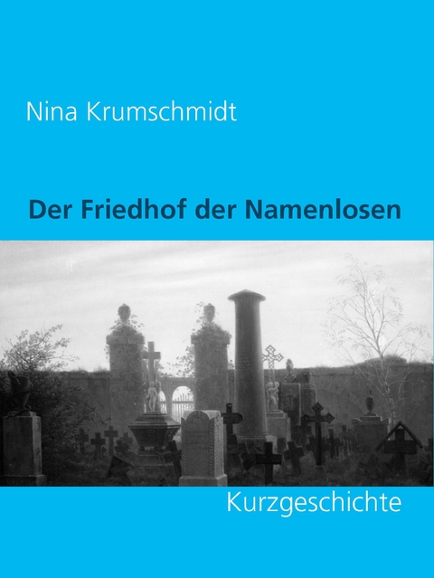 Der Friedhof der Namenlosen - Nina Krumschmidt