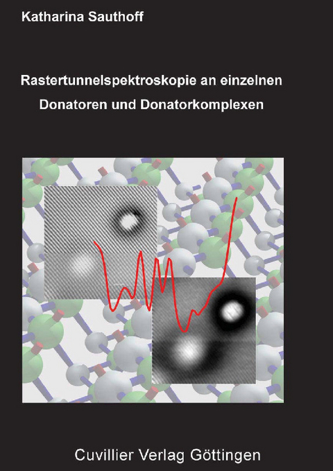 Rastertunnelspektroskopie an einzelnen Donatoren und Donatorkomplexen nahe der GaAs(110)-Oberfl&#xE4;che -  Katharina Sauthoff