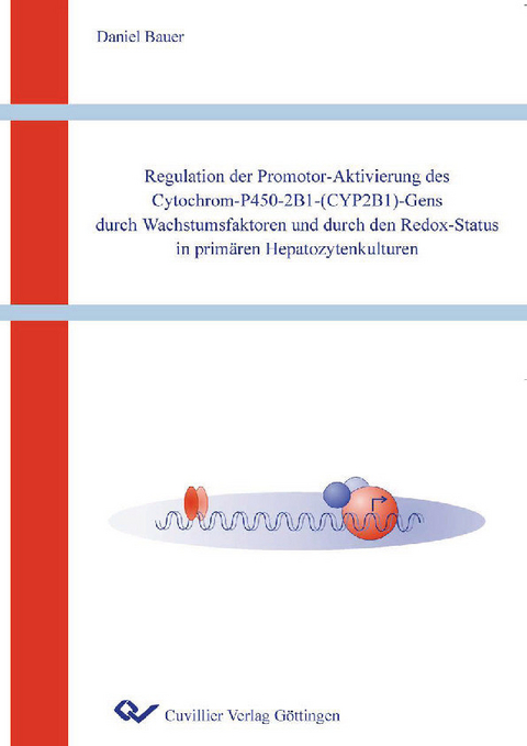 Regulation der Promoter-Aktivierung des Cytochrom-P450-2B1-(CYP2B1)-Gens durch Wachstumsfaktoren und durch den Redox-Status in prim&#xE4;ren Hepatozytenkulturen -  Daniel Bauer