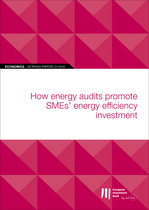 EIB Working Papers 2019/02 - How energy audits promote SMEs' energy efficiency investment - 