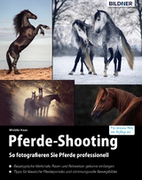 Pferde-Shooting - Wiebke Haas