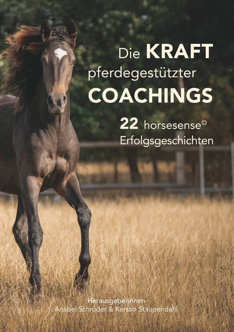 Die Kraft pferdegestützter Coachings - 