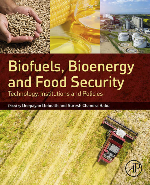 Biofuels, Bioenergy and Food Security - 