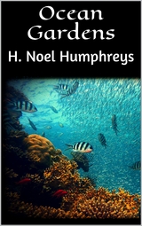 Ocean Gardens - H. Noel Humphreys