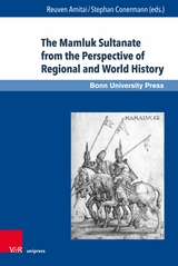 The Mamluk Sultanate from the Perspective of Regional and World History - 