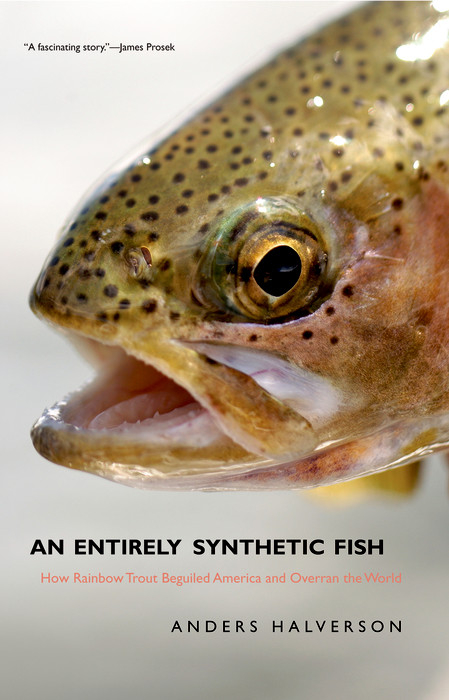 Entirely Synthetic Fish -  Halverson Anders Halverson