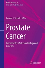 Prostate Cancer - 