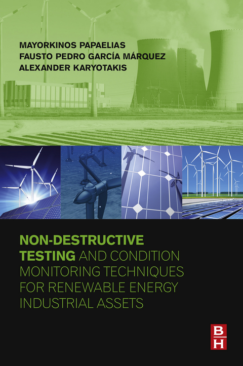 Non-Destructive Testing and Condition Monitoring Techniques for Renewable Energy Industrial Assets -  Alexander Karyotakis,  Fausto Pedro Garcia Marquez,  Mayorkinos Papaelias