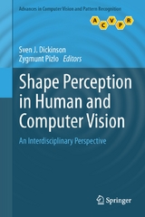 Shape Perception in Human and Computer Vision - 