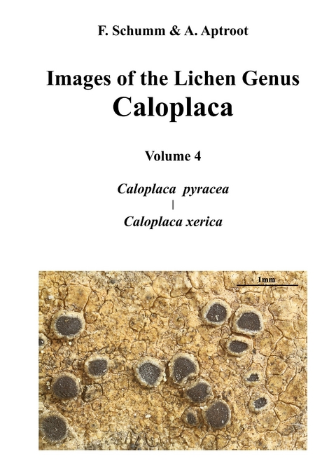 Images of the Lichen Genus Caloplaca, Vol4 -  Felix Schumm