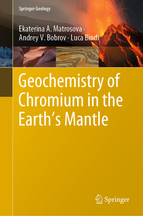 Geochemistry of Chromium in the Earth's Mantle -  Ekaterina A. Matrosova,  Andrey V. Bobrov,  Luca Bindi