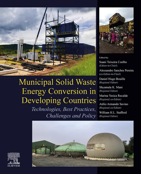 Municipal Solid Waste Energy Conversion in Developing Countries - 