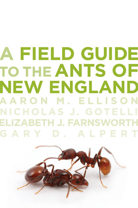 Field Guide to the Ants of New England -  Ellison Aaron M. Ellison,  Farnsworth Elizabeth J. Farnsworth,  Alpert Gary D. Alpert,  Gotelli Nicholas J. Gotelli
