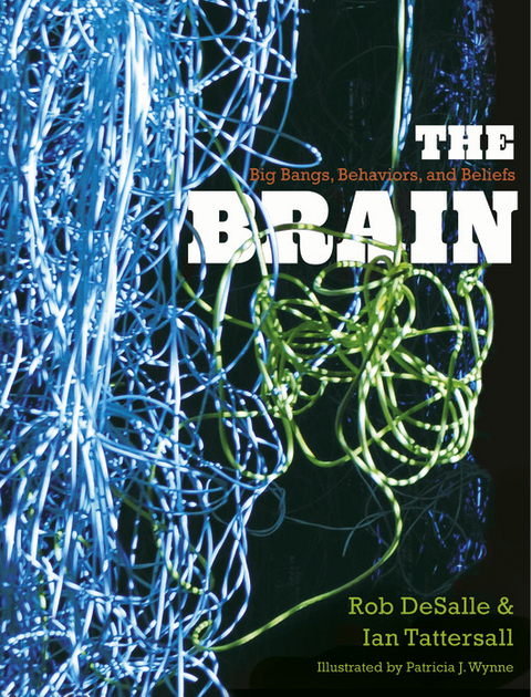 Brain -  Rob DeSalle,  Ian Tattersall