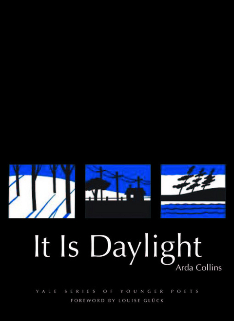 It Is Daylight -  Arda Collins