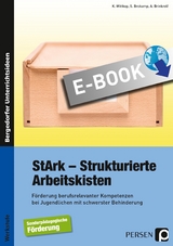 StArk - Strukturierte Arbeitskisten, Werkstufe -  Wittkop,  Brokamp,  Brinkrolf