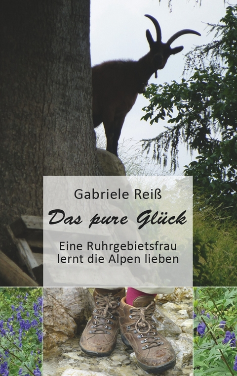 Das pure Glück -  Gabriele Reiß