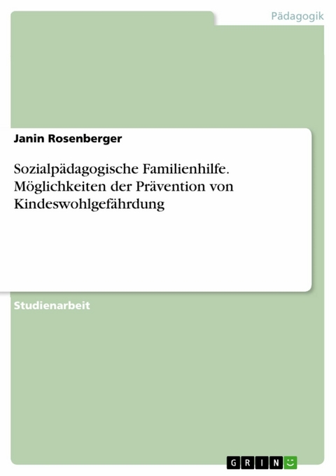 Sozialpädagogische Familienhilfe. Möglichkeiten der Prävention von Kindeswohlgefährdung - Janin Rosenberger