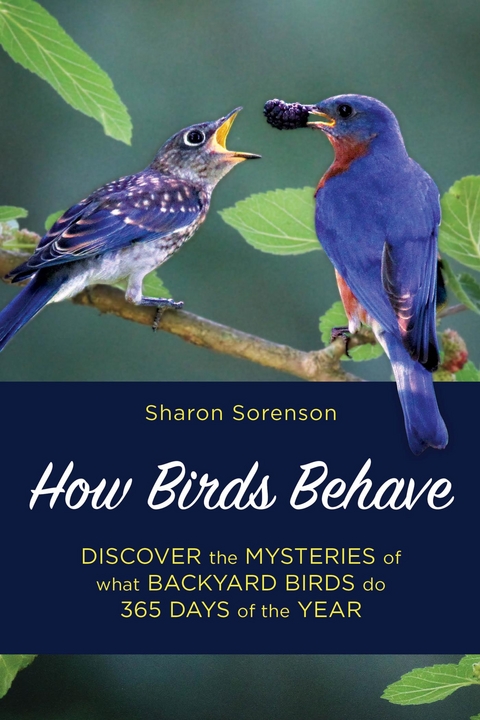 How Birds Behave -  Sharon Sorenson