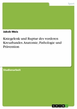Kniegelenk und Ruptur des vorderen Kreuzbandes. Anatomie, Pathologie und Prävention -  Jakob Meis