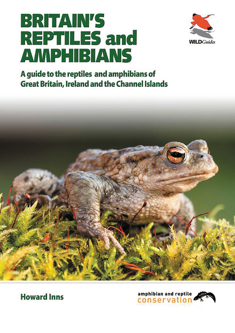 Britain's Reptiles and Amphibians -  Howard Inns