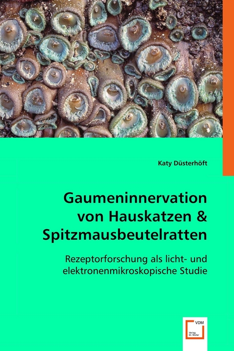 Gaumeninnervation von Hauskatzen& Spitzmausbeutelratten -  Dr.Katy Düsterhöft