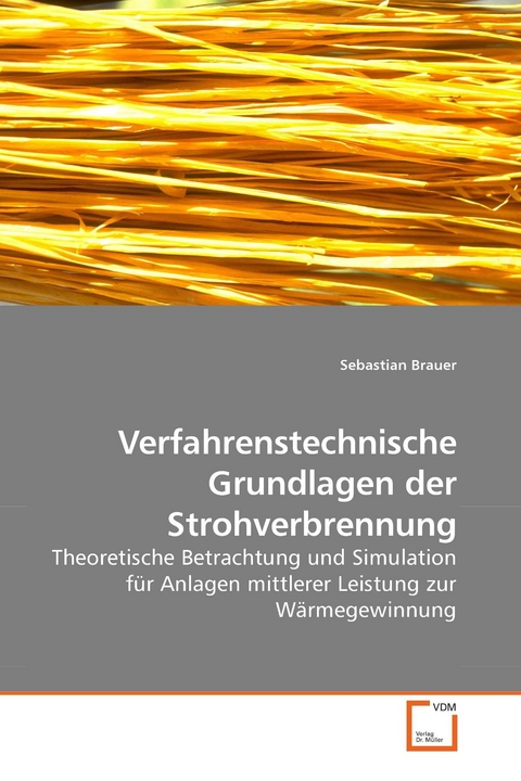 Verfahrenstechnische Grundlagen der Strohverbrennung -  Sebastian Brauer