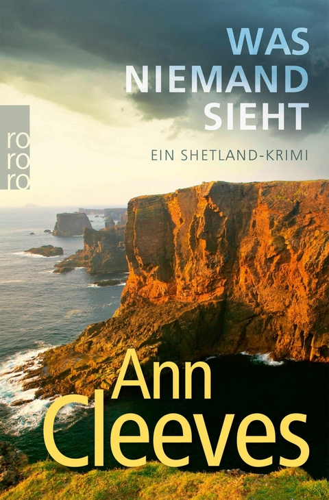 Was niemand sieht - Ann Cleeves