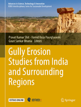 Gully Erosion Studies from India and Surrounding Regions - 