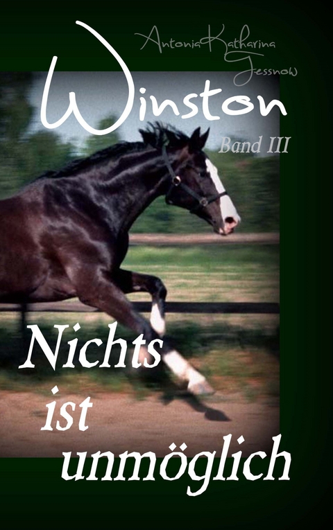 Winston - Nichts ist unmöglich - Antonia Katharina Tessnow