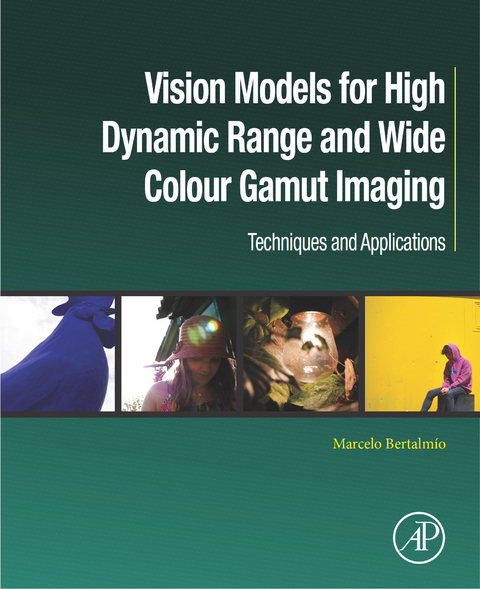 Vision Models for High Dynamic Range and Wide Colour Gamut Imaging -  Marcelo Bertalmio