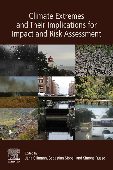 Climate Extremes and Their Implications for Impact and Risk Assessment - 