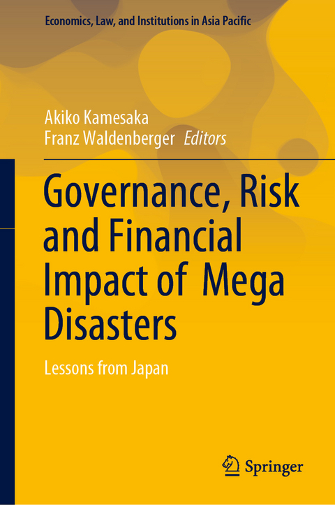 Governance, Risk and Financial Impact of  Mega Disasters - 