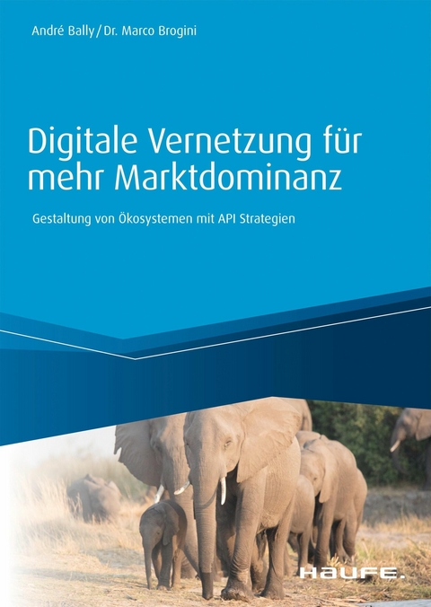 Digitale Vernetzung für mehr Marktdominanz -  André Bally,  Marco Brogini