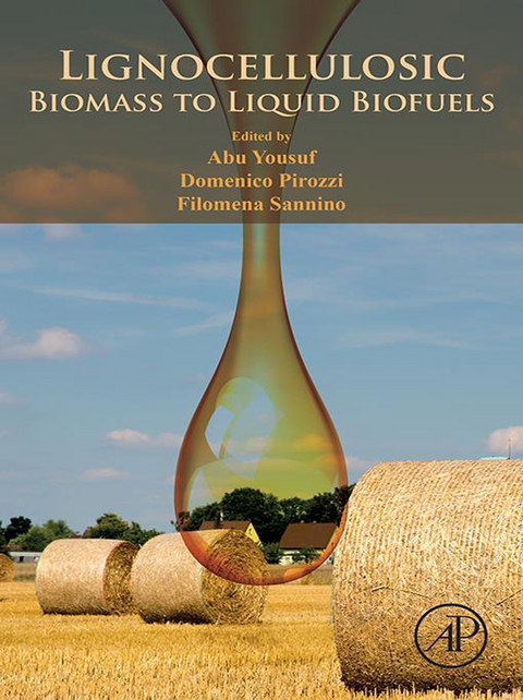Lignocellulosic Biomass to Liquid Biofuels -  Domenico Pirozzi,  Filomena Sannino,  Abu Yousuf